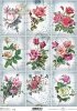 Papel Decoupage Soft S0142